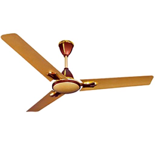 Crompton Greaves FLAVIA Gold Brown Decorative Fan